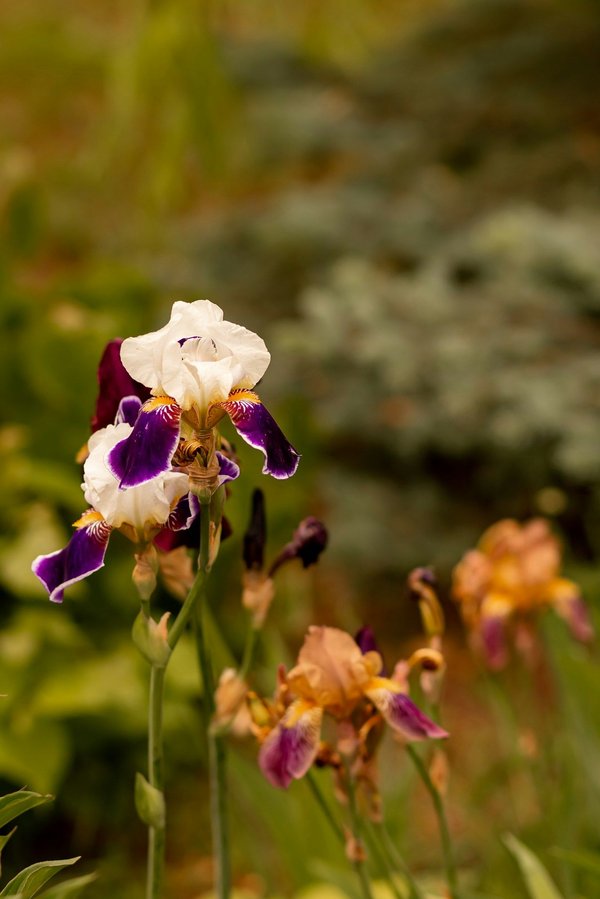 Comment varier votre programme de musculation pour éviter la routine